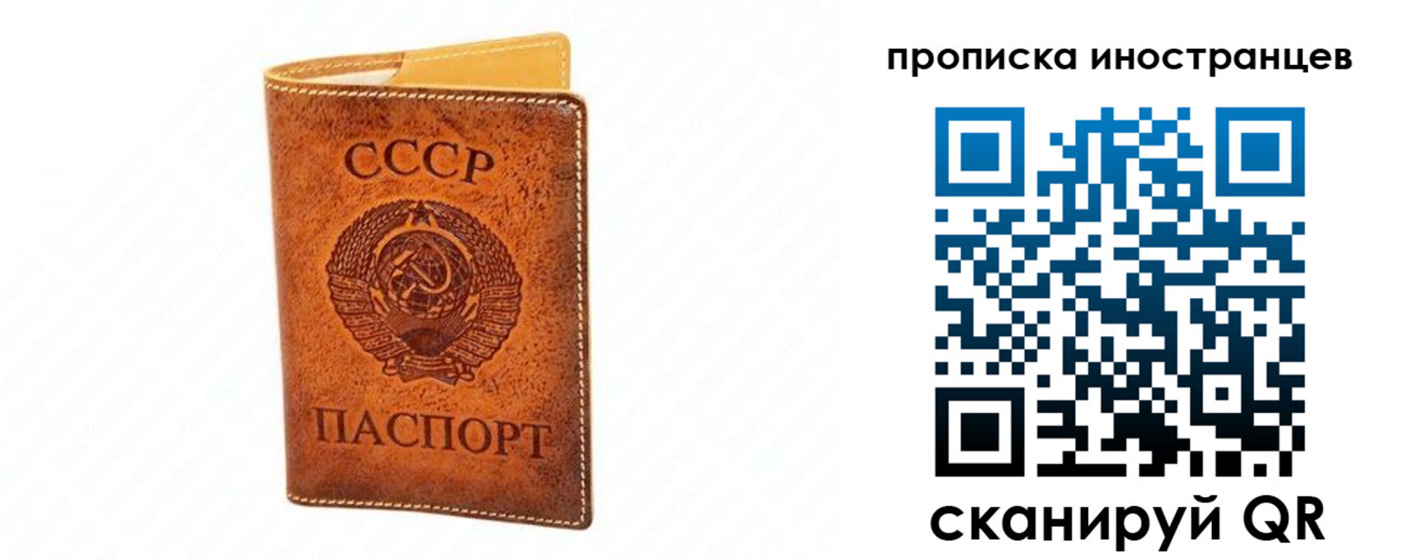 прописка для школы в Заозёрном